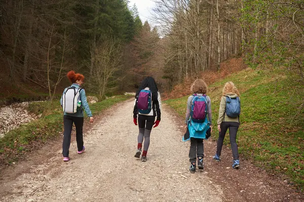 带背包的女徒步旅行者是在森林中登山的朋友 图库图片