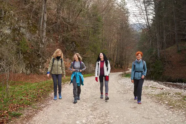 Sırt Çantalı Kadın Yürüyüşçüler Ormanda Dağ Yürüyüşü Yapıyorlar - Stok İmaj