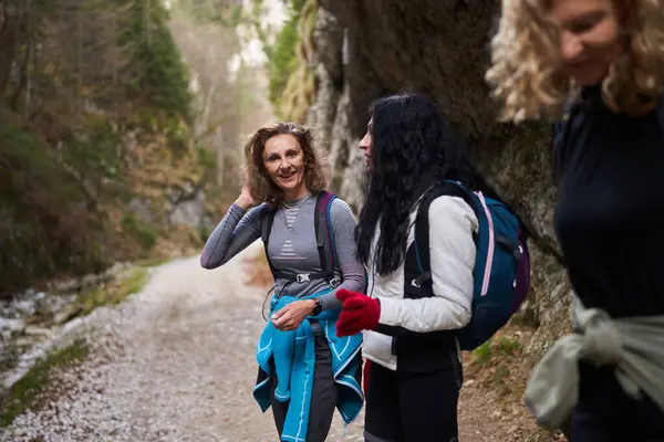 提背包的女徒步旅行者是在森林里登山的朋友 图库照片