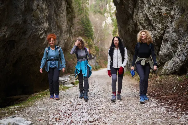 Vrouwen Wandelaars Met Rugzak Als Vrienden Wandelen Bergen Door Het Stockafbeelding