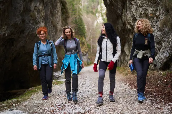 Vrouwen Wandelaars Met Rugzak Als Vrienden Wandelen Bergen Door Het Rechtenvrije Stockafbeeldingen