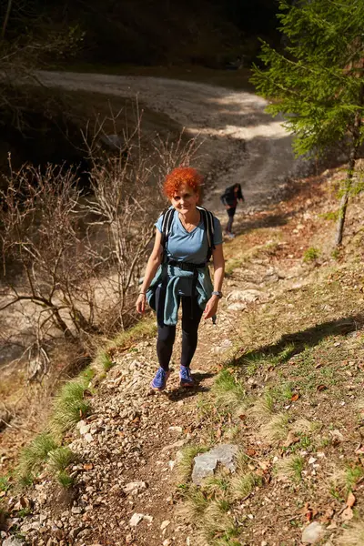 Sırt Çantalı Bir Kadın Gündüz Vakti Dağlarda Yürüyüş Yapıyor Telifsiz Stok Fotoğraflar