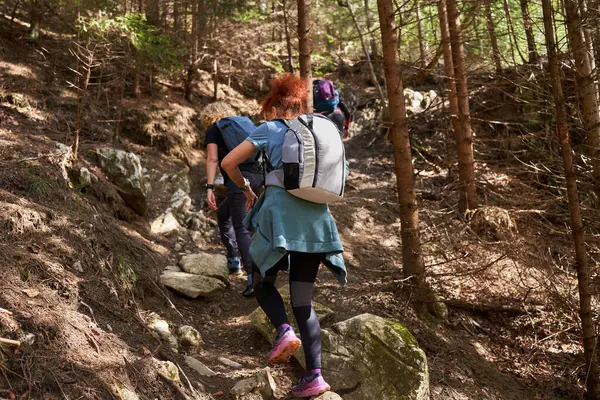 Sırt Çantalı Kadın Yürüyüşçüler Ormanda Dağlarda Yürüyüş Yapıyorlar Telifsiz Stok Fotoğraflar