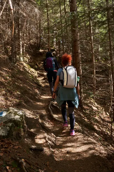 Female Hikers Backpacks Friends Hiking Mountains Forest Stock Image