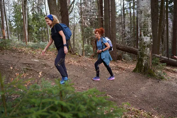 背着背包在山中穿越森林的妇女 免版税图库照片