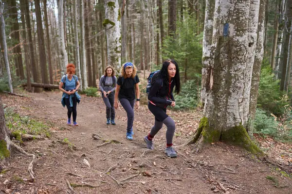 Grupo Caminhantes Com Mochilas Caminhando Nas Montanhas Através Floresta Imagens Royalty-Free