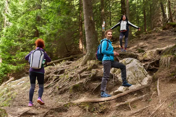 Hikers Backpacks Friends Hiking Forest Photo De Stock