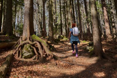 Sırt çantalı bir kadın ormanda, dağlarda tek başına yürüyüş yapıyor.