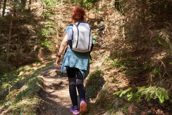 背着背包独自在山间小径上穿越森林的女人 图库图片