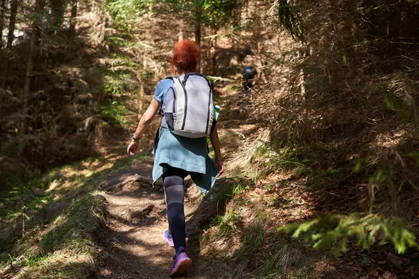 山のトレイルで一人でハイキングするバックパックを持つ女性 森を介して ロイヤリティフリーのストック写真