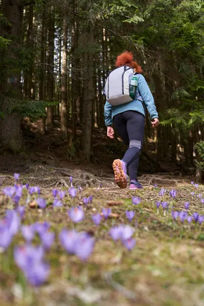 山のトレイルで一人でハイキングするバックパックを持つ女性 森を介して ストック写真