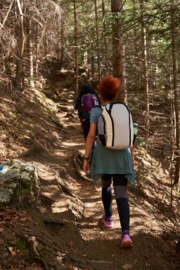 Sırt çantalı iki kadın dağlarda yürüyüş yapıyor.