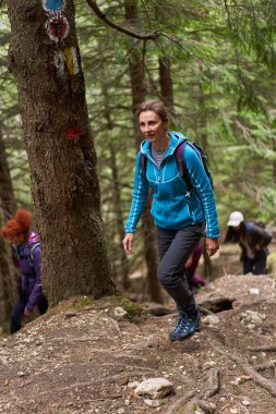 Dağlarda gezen sırt çantalı bir grup kadın yürüyüşçü. 