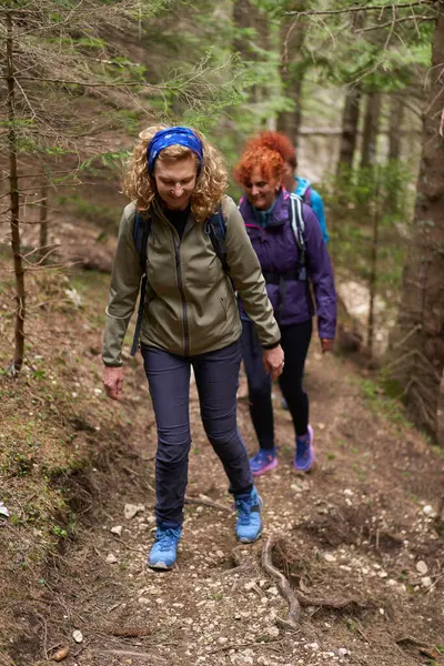 Groep Van Vrouwelijke Wandelaars Met Rugzakken Wandelen Pad Bergen — Stockfoto