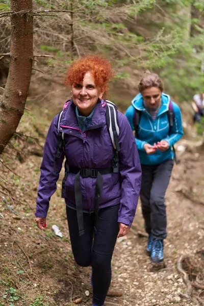 Sırt çantalı bir grup kadın yürüyüşçü dağlarda yürüyüş yapıyor.