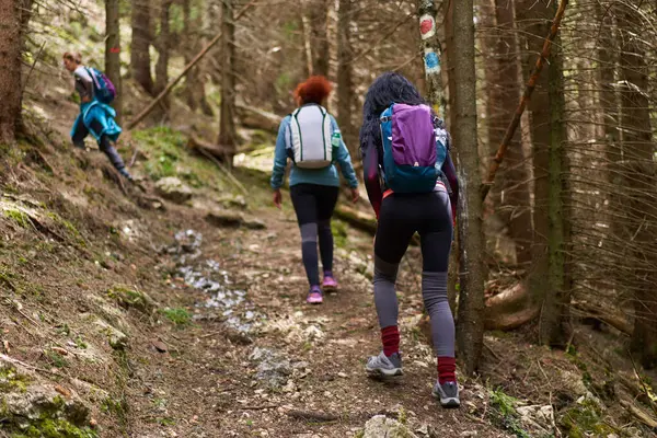 Группа Женщин Туристок Рюкзаками Тропе Горах — стоковое фото