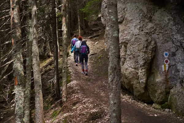 Groep Wandelaars Met Rugzakken Pad Bergen — Stockfoto