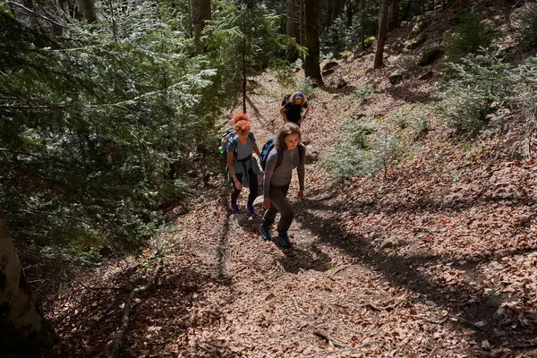 Sırt Çantalı Bir Grup Kadın Dağlarda Yürüyüş Yapıyor Stok Resim