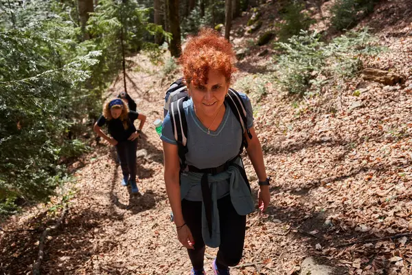 Grupo Mulheres Com Mochilas Caminhando Uma Trilha Nas Montanhas Fotos De Bancos De Imagens Sem Royalties