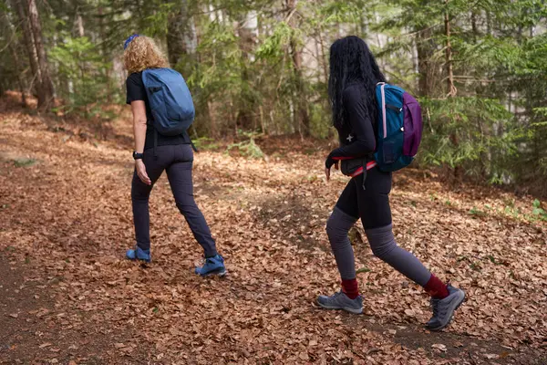 Caminhantes Femininas Com Mochilas Trilha Nas Montanhas Fotografias De Stock Royalty-Free