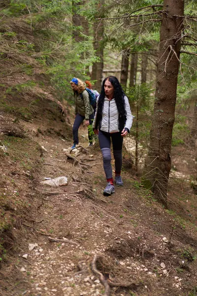 Sırt Çantalı Bir Grup Kadın Yürüyüşçü Dağlarda Yürüyüş Yapıyor - Stok İmaj