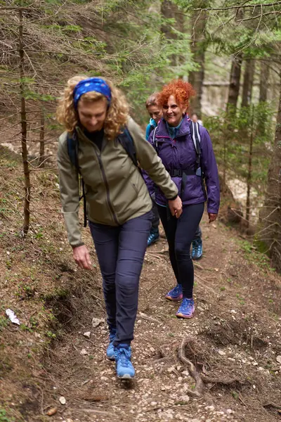 Sırt Çantalı Bir Grup Kadın Yürüyüşçü Dağlarda Yürüyüş Yapıyor Telifsiz Stok Imajlar