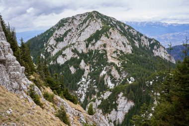 Yazın başında dağlar ve çam ormanlarıyla kaplı bir manzara.
