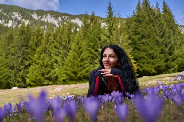 Kobieta Turysta Odpoczywa Łące Kwiatami Krokusa Ciężkim Szlaku Wędrówki Górach Obrazy Stockowe bez tantiem