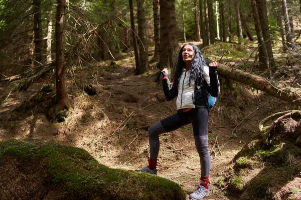 Woman Hiker Backpack Trail Pine Forest Telifsiz Stok Imajlar