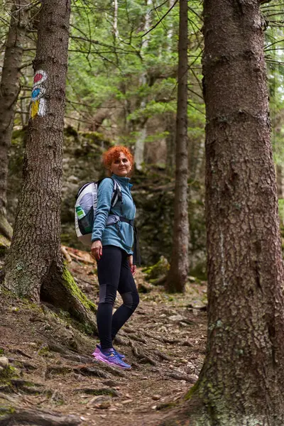 Vrouw Wandelaar Met Rugzak Wandelen Een Pad Bergen Met Dennenbossen Stockfoto