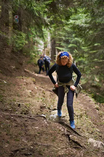 背着背包的女徒步旅行者带着松林在山路上远足 图库图片
