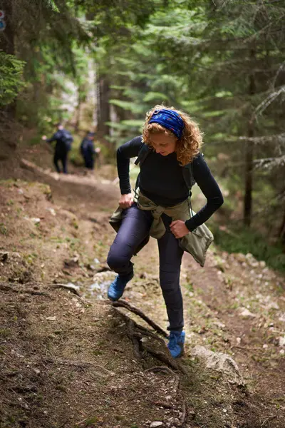 Sırt Çantalı Bir Kadın Çam Ormanlarıyla Dağlarda Yürüyüş Yapıyor Stok Resim