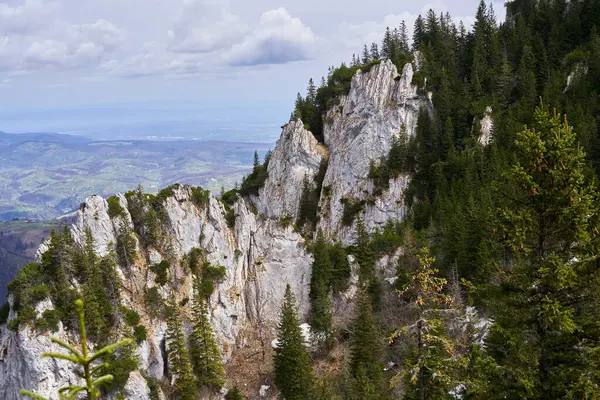 Landschaft Mit Felsigen Kalksteinbergen Und Kiefernwäldern Frühsommer Stockfoto