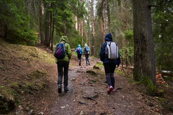 Women Backpacks Hiking Rainy Day Mountains Stock Photo