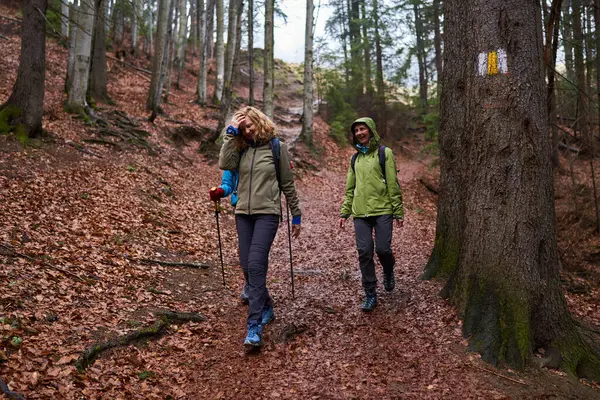 Frauen Mit Rucksäcken Wandern Einem Regnerischen Tag Den Bergen lizenzfreie Stockfotos