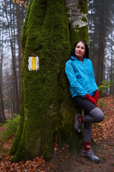 Frau Mit Rucksack Wandert Einem Regnerischen Tag Den Bergen Stockfoto
