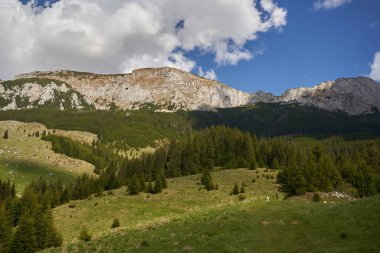 Çam ormanlarıyla kaplı tepelerin üstündeki kayalık dağ zirveleri