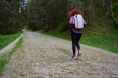 Sırt çantalı bir kadın dağdaki çam ormanında yürüyüş yapıyor.