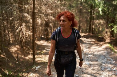 Sırt çantalı bir kadın dağdaki çam ormanında yürüyüş yapıyor.