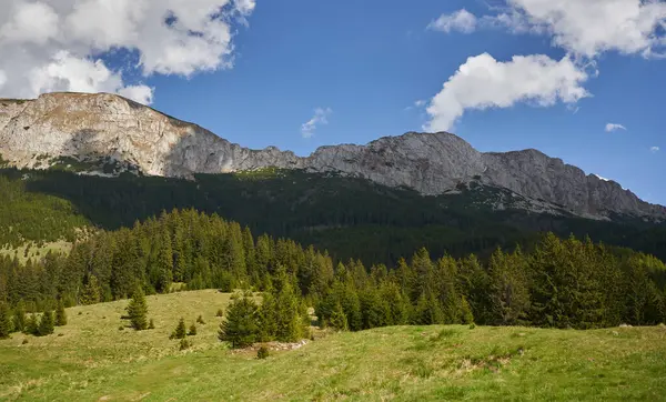 Montagnes Rocheuses Dessus Des Collines Couvertes Forêts Pins Images De Stock Libres De Droits