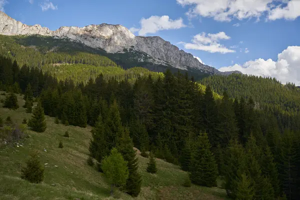 Skaliste Szczyty Górskie Nad Wzgórzami Pokryte Lasami Sosnowymi Obrazy Stockowe bez tantiem