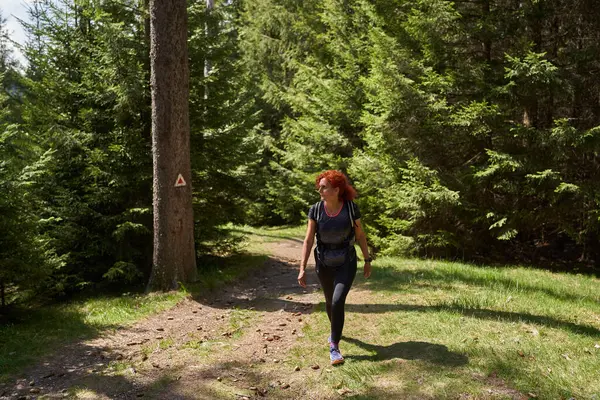 山の松林のトレイルでバックパックをハイキングする女性 ストックフォト