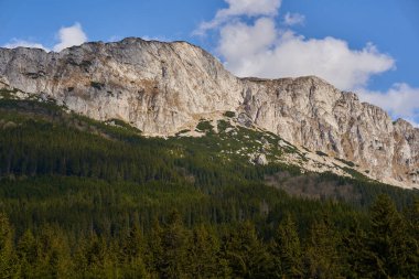 Dağlar ve çam ormanı gökyüzü ve kabarık bulutlar, yaz başları manzarası