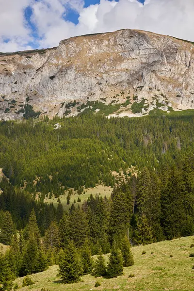 Hory Borový Les Oblohou Nadýchanými Mraky Časná Letní Krajina Stock Snímky