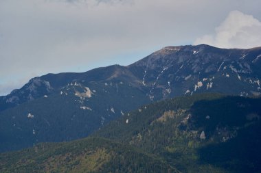 Kayalık dağlar, çam ağaçları ve köknar ormanlarıyla dolu bir manzara.