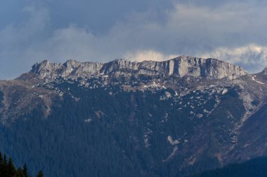 Kayalık dağlar, çam ağaçları ve köknar ormanlarıyla dolu bir manzara.