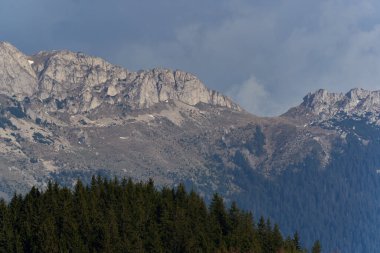 Kayalık dağlar, çam ağaçları ve köknar ormanlarıyla dolu bir manzara.
