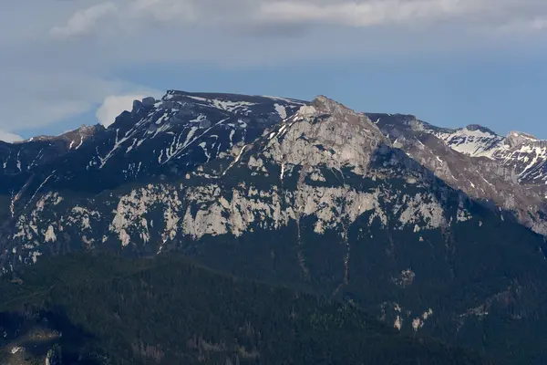 Landschap Met Rotsachtige Bergen Dennen Sparrenbossen Stockfoto