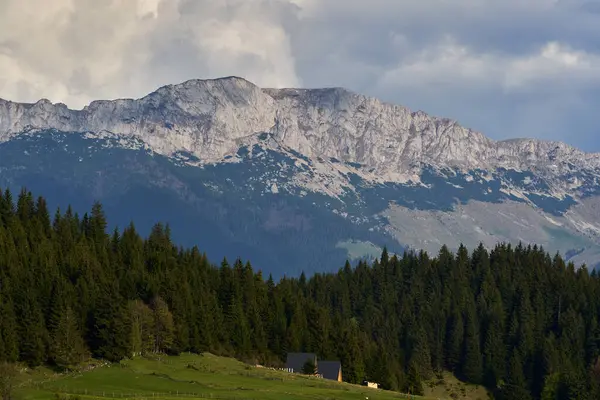 Paesaggio Con Montagne Rocciose Foreste Pini Abeti Foto Stock Royalty Free