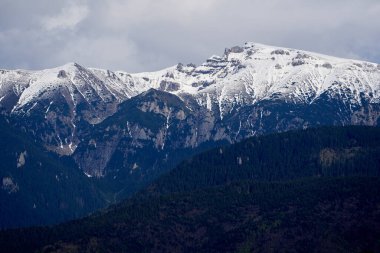 Yazın başlarında kar ve çam ormanlarıyla kaplı dağlar, resim gibi manzaralar.